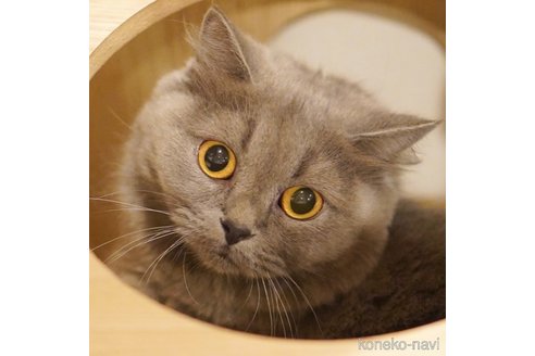 おはぎちゃん1枚目